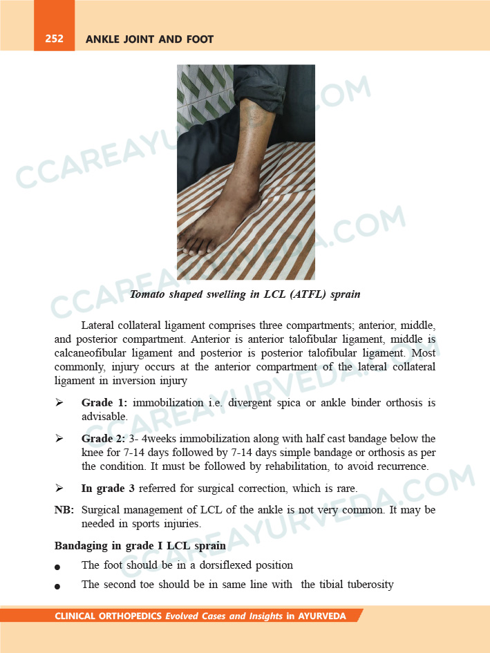 Ankle Joint and Foot - Clinical Orthopedics Book Page